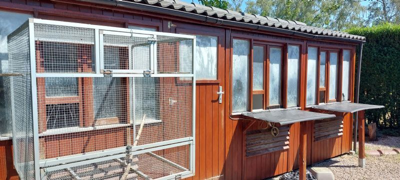 Duivenhok compleet Dumo 7m60