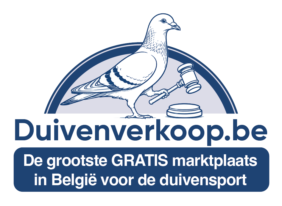 De Geschelpte Duif - Brussel